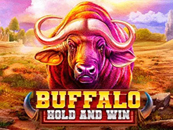 Buffalo Hold and Win